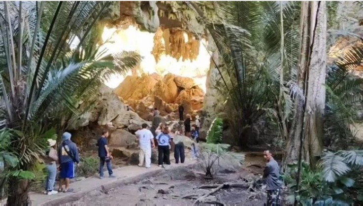 Phát hiện loài sinh vật hiếm chỉ xuất hiện vài ngày mỗi năm, du khách nối đuôi nhau đến tận nơi xem- Ảnh 3. Phát hiện loài sinh vật hiếm chỉ xuất hiện vài ngày mỗi năm, du khách nối đuôi nhau đến tận nơi xem- Ảnh 3.