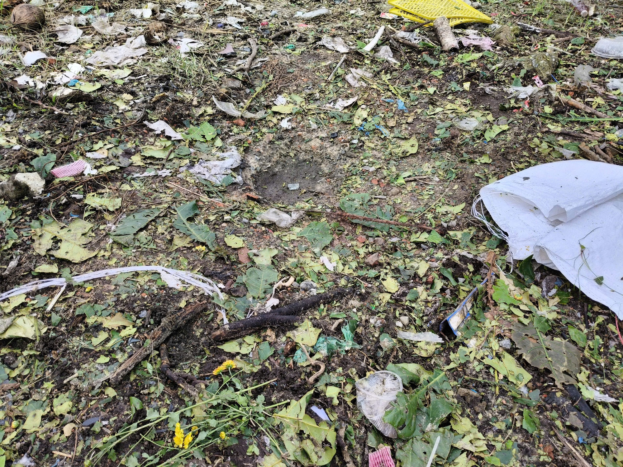 Camera ghi lại khoảnh khắc khiến cả chợ run sợ bỏ chạy- Ảnh 1.