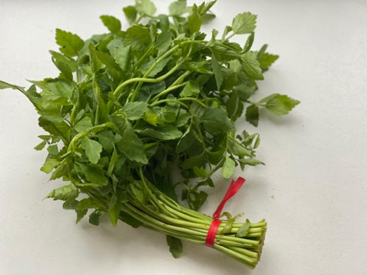 2 loại rau “khoái khẩu” mùa lạnh dễ thành ổ sán, đặc biệt là loại đứng đầu danh sách- Ảnh 1.