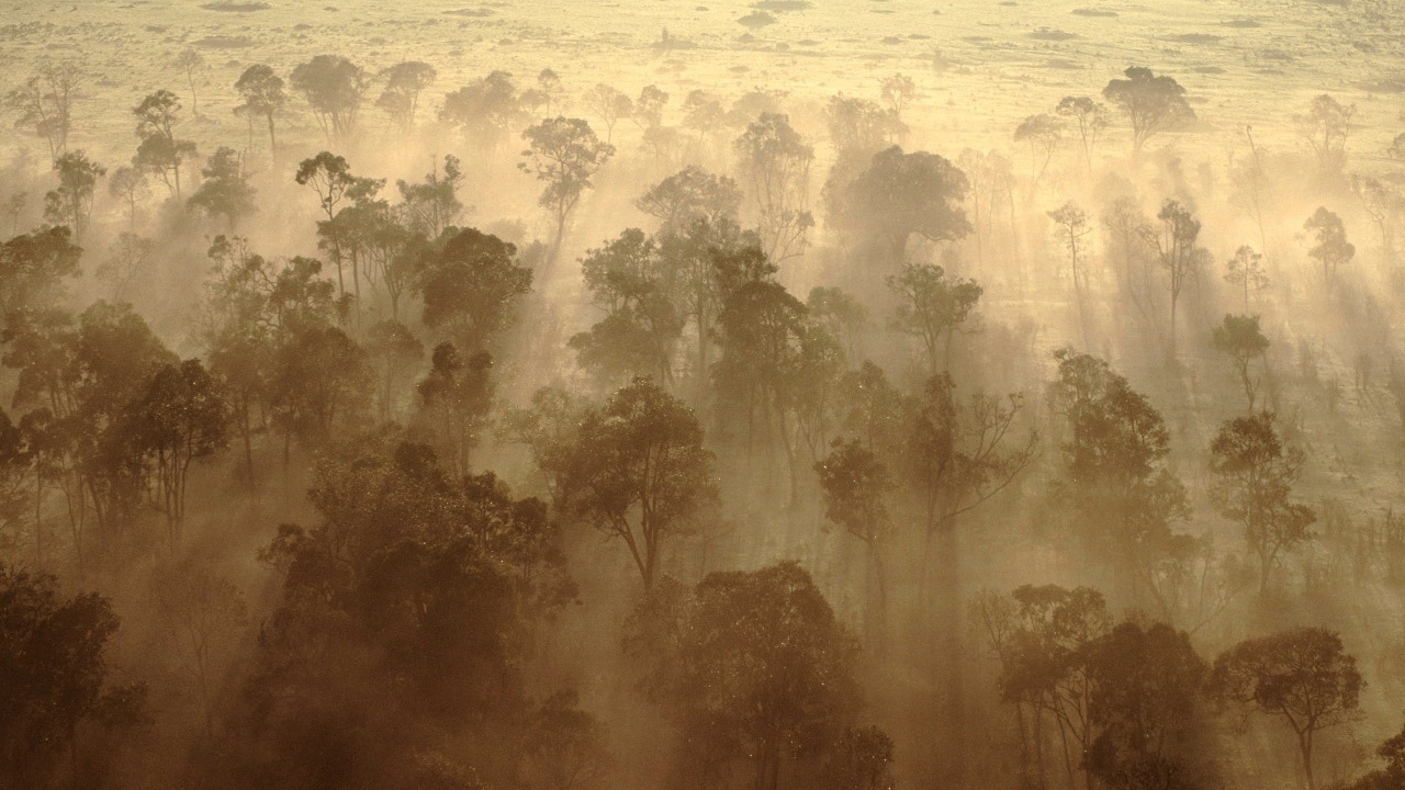 Rừng châu Phi chính thức đảo ngược: Từ lá phổi xanh thành nguồn phát thải carbon- Ảnh 3.