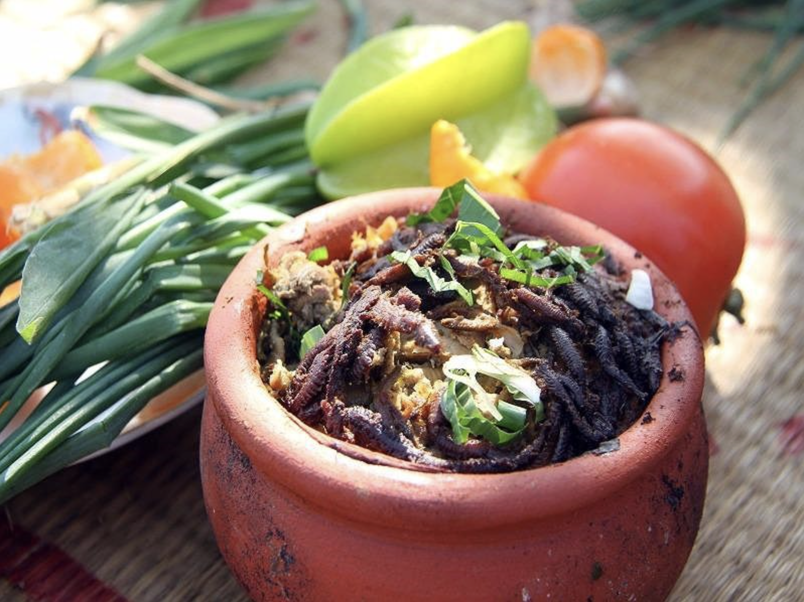 Sinh vật "ngọ nguậy" xuất hiện trên mâm cơm Hải Phòng: Là đặc sản được săn lùng, nay vừa vào mùa rộ- Ảnh 4. Sinh vật "ngọ nguậy" xuất hiện trên mâm cơm Hải Phòng: Là đặc sản được săn lùng, nay vừa vào mùa rộ- Ảnh 4.