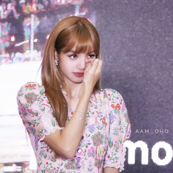 Lisa (BLACKPINK) hợp tác với 1 tài tử nhưng ai cũng cản- Ảnh 2.