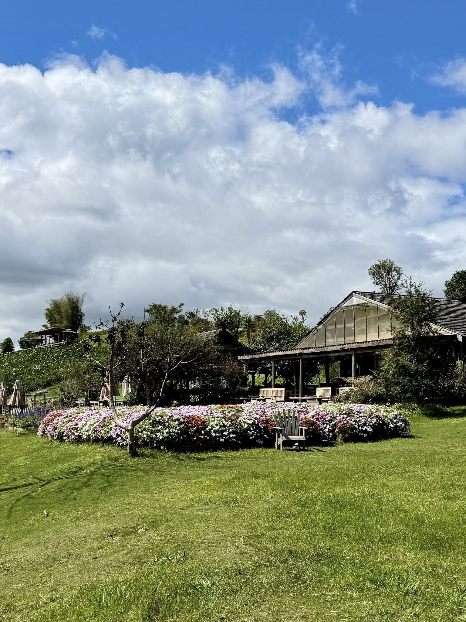 1 điểm du lịch lọt được tìm kiếm nhiều nhất trên Google 2025: Tiểu Paris ở nơi lưng chừng núi, khách Việt, khách Tây đều mê tít- Ảnh 1.