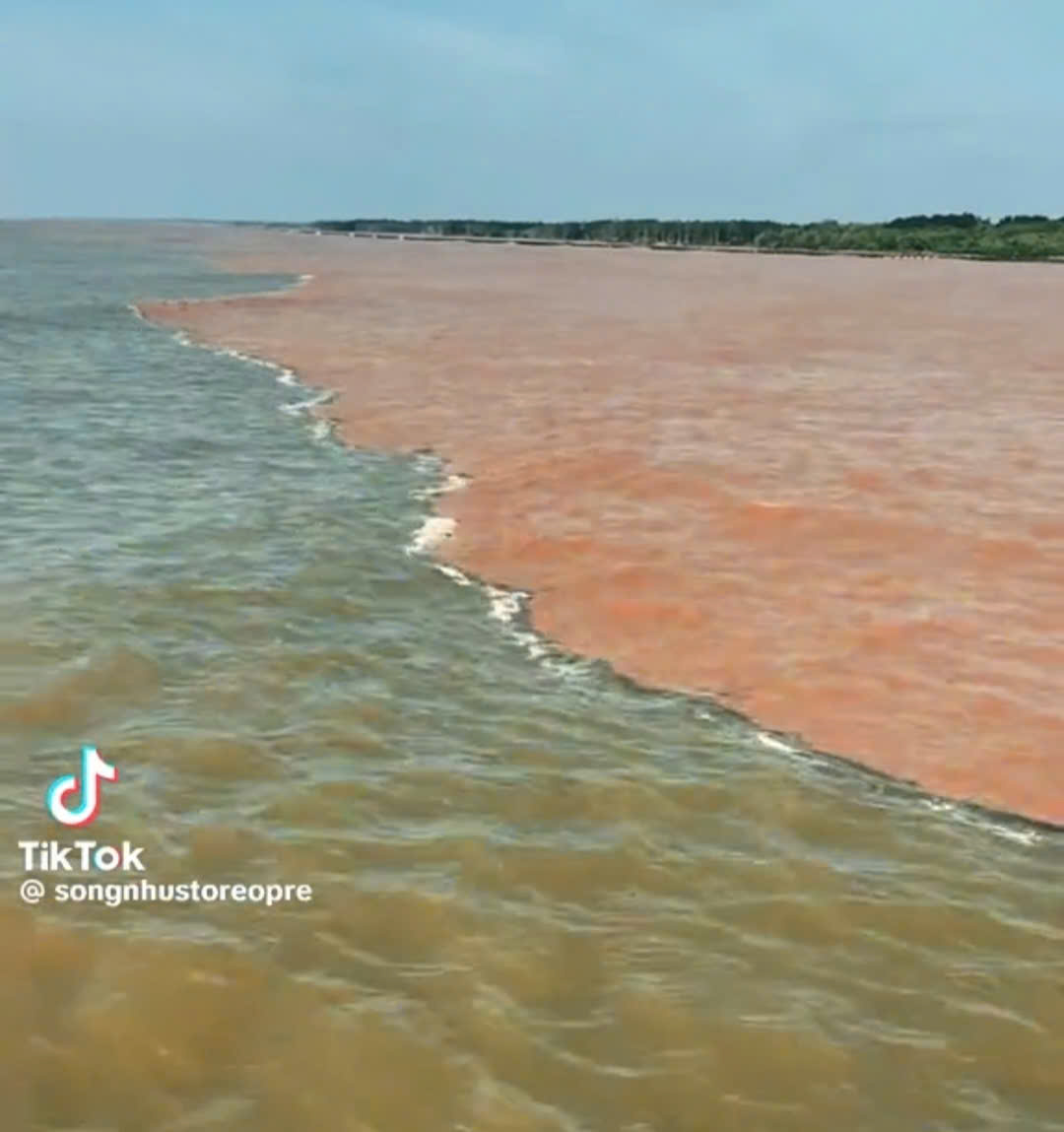 "Giải mã" hiện tượng nước có màu xanh và nâu đỏ ở ven biển Cà Mau- Ảnh 1. "Giải mã" hiện tượng nước có màu xanh và nâu đỏ ở ven biển Cà Mau- Ảnh 1.