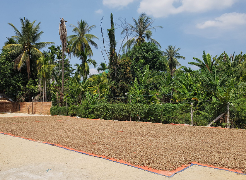 Cứu tinh từ châu Phi đổ bộ giúp Việt Nam xuất khẩu bỏ xa cả thế giới: Nước ta chi hàng tỷ USD mỗi năm để mua hàng, được người Mỹ cực kỳ ưa chuộng- Ảnh 1. Cứu tinh từ châu Phi đổ bộ giúp Việt Nam xuất khẩu bỏ xa cả thế giới: Nước ta chi hàng tỷ USD mỗi năm để mua hàng, được người Mỹ cực kỳ ưa chuộng- Ảnh 1.