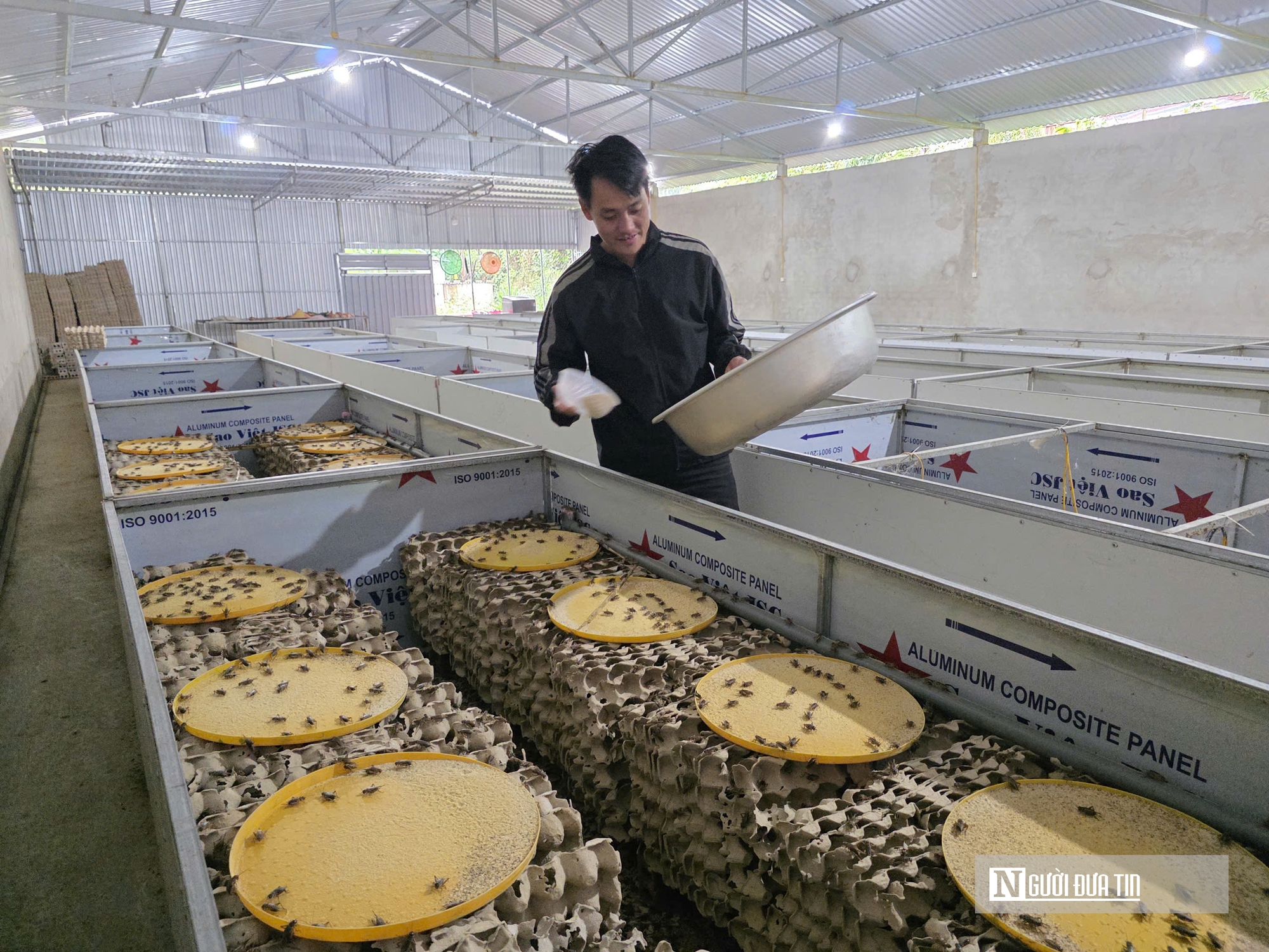 Nuôi loài “tí hon” 30 ngày đã thu hoạch, chàng rể Nghệ An kiếm trăm triệu mỗi năm- Ảnh 10.