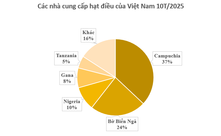 Cứu tinh từ châu Phi đổ bộ giúp Việt Nam xuất khẩu bỏ xa cả thế giới: Nước ta chi hàng tỷ USD mỗi năm để mua hàng, được người Mỹ cực kỳ ưa chuộng- Ảnh 2. Cứu tinh từ châu Phi đổ bộ giúp Việt Nam xuất khẩu bỏ xa cả thế giới: Nước ta chi hàng tỷ USD mỗi năm để mua hàng, được người Mỹ cực kỳ ưa chuộng- Ảnh 2.