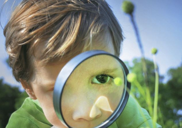 Bí mật từ nghiên cứu Harvard: 4 thứ tưởng nhỏ nhưng quyết định cả đời con bạn có thành công hay không- Ảnh 2. Bí mật từ nghiên cứu Harvard: 4 thứ tưởng nhỏ nhưng quyết định cả đời con bạn có thành công hay không- Ảnh 2.