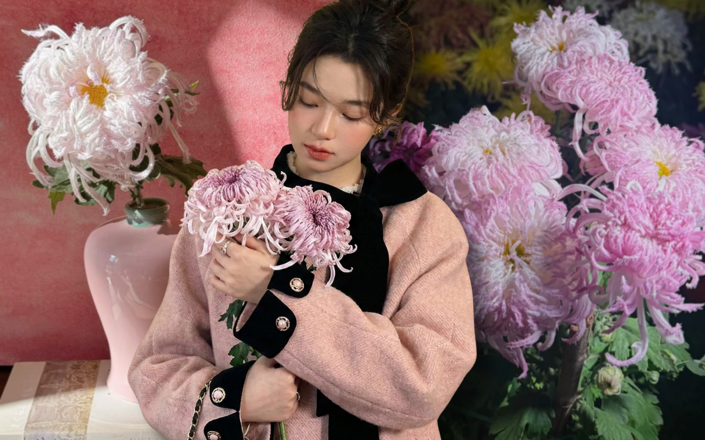 Mê mẩn loài cúc lạ "Sư Tử Phấn Bạch": Nhìn tưởng lông vũ, sờ mịn như tơ, bí kíp chăm trong chung cư kín gió vẫn nở bung rực rỡ- Ảnh 1.