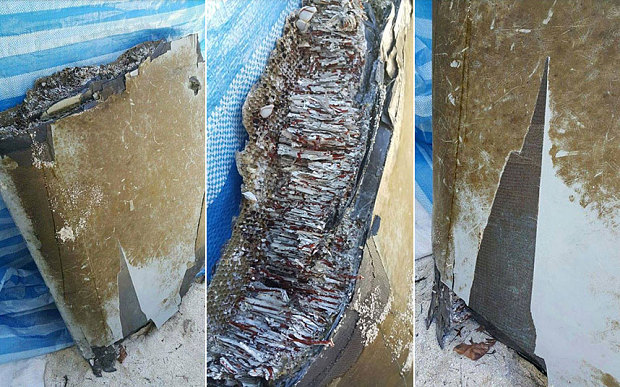 M&aacute;y bay MH370 chưa từng bị rơi?- Ảnh 3.