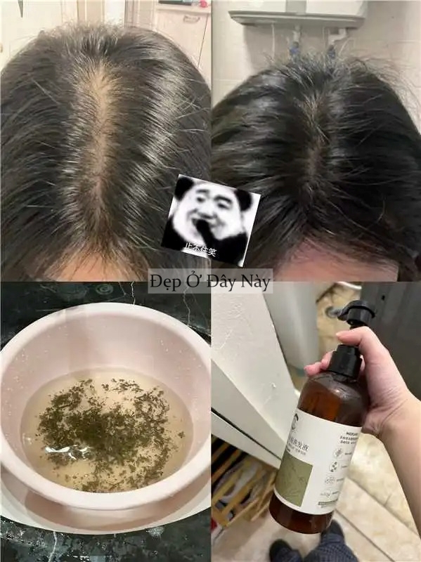 Thứ nước bình dân nhưng lại là "bảo bối" giúp tóc mọc chắc khỏe, được các bà các mẹ truyền tai nhiều đời- Ảnh 3.