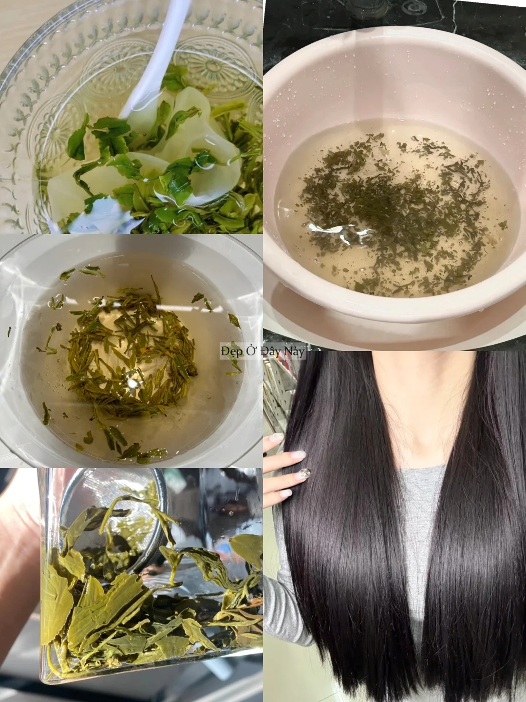 Thứ nước bình dân nhưng lại là "bảo bối" giúp tóc mọc chắc khỏe, được các bà các mẹ truyền tai nhiều đời- Ảnh 2.