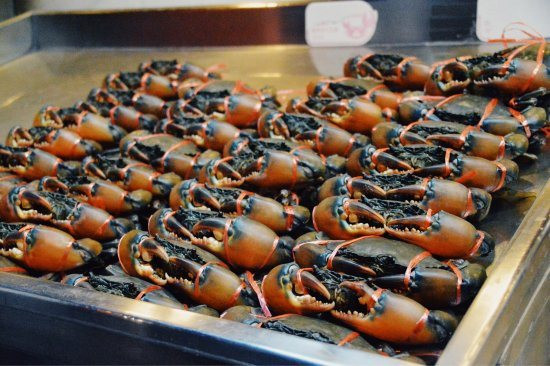 Kho báu dưới nước của Việt Nam 'bơi' sang Mỹ, Nhật Bản siêu đắt hàng: xuất khẩu tăng khủng hơn 600%, chất lượng vượt trội hàng đầu thế giới- Ảnh 1. Kho báu dưới nước của Việt Nam