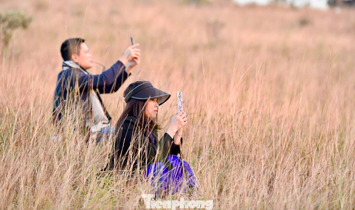 Du khách đổ xô đi cắm trại, check-in ở đồi cỏ phủ màu 'siêu thực'- Ảnh 10.