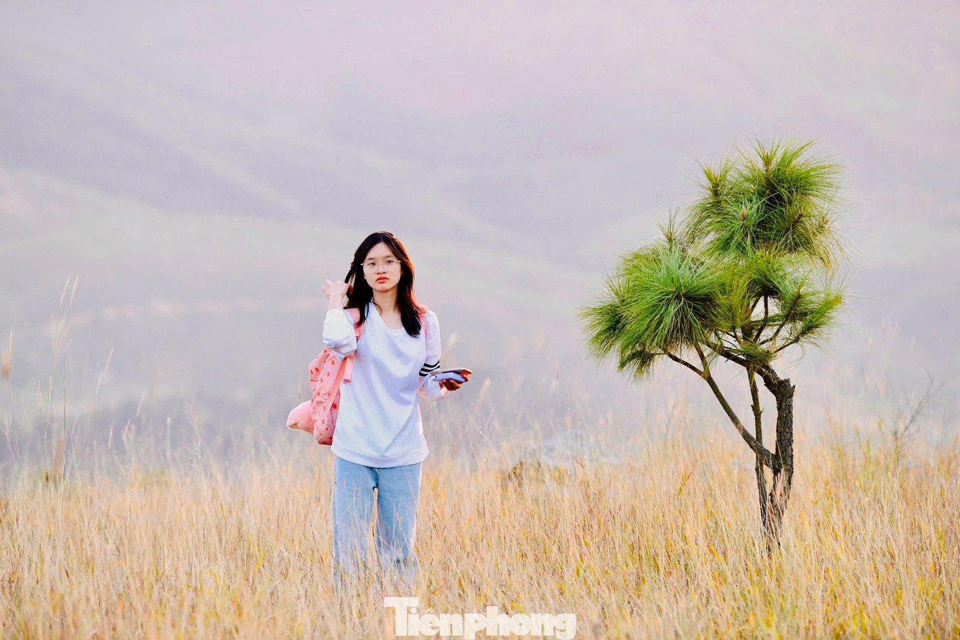 Du khách đổ xô đi cắm trại, check-in ở đồi cỏ phủ màu 'siêu thực'- Ảnh 11.