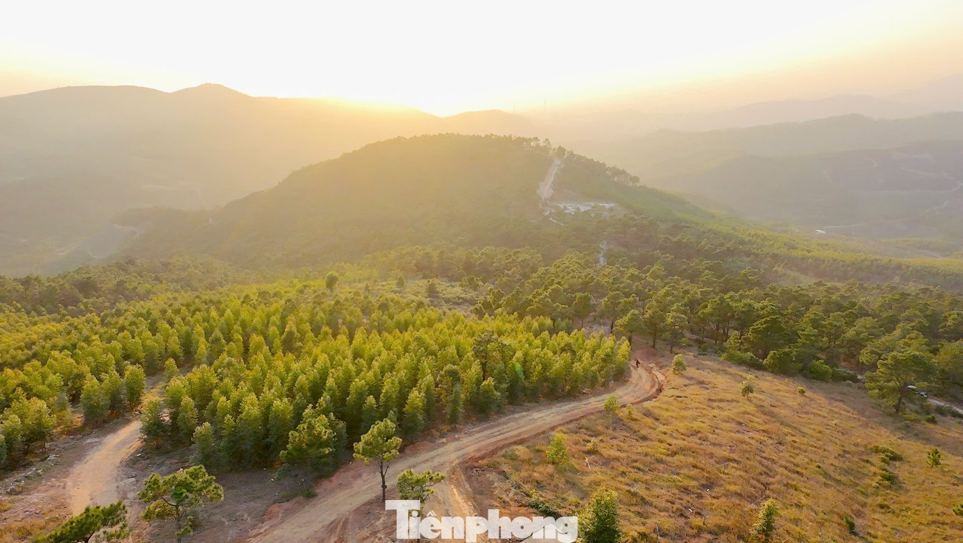 Du khách đổ xô đi cắm trại, check-in ở đồi cỏ phủ màu 'siêu thực'- Ảnh 1.