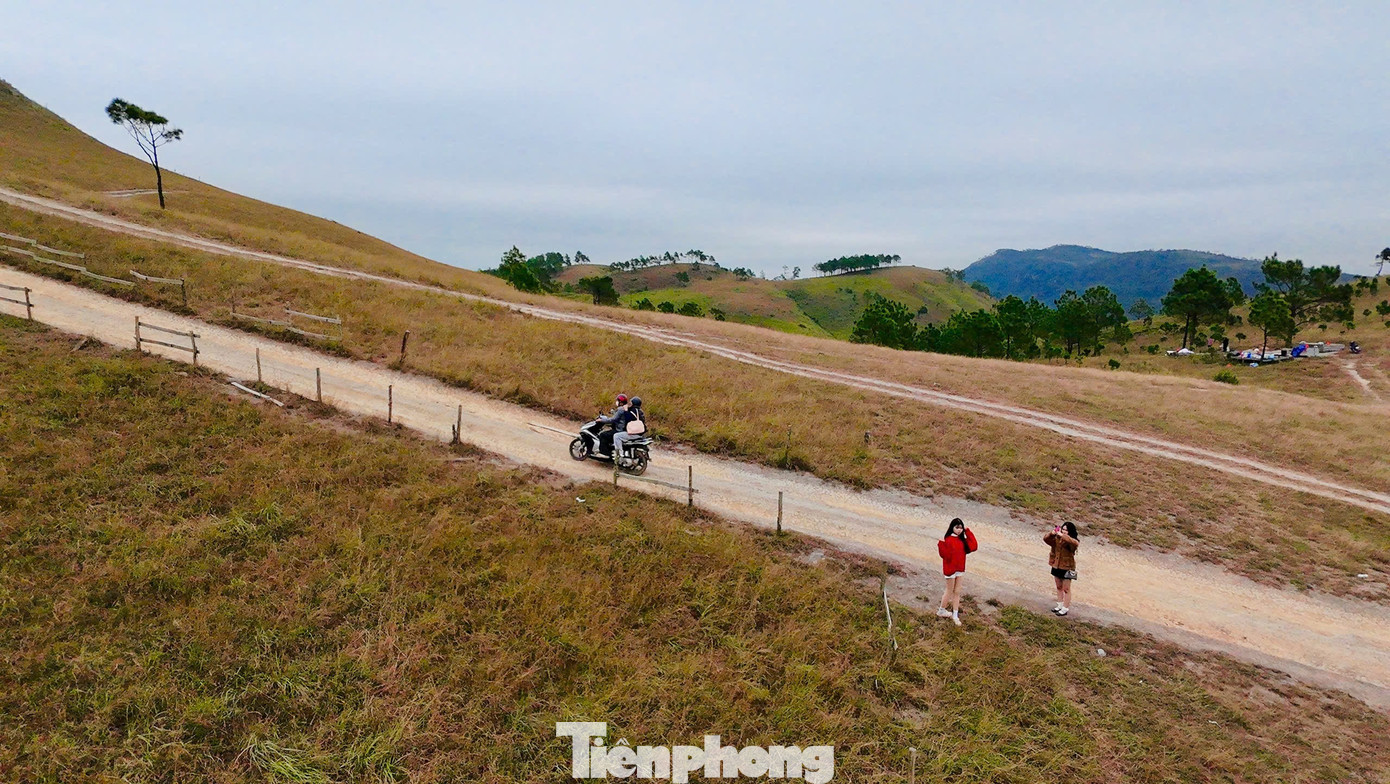 Du khách đổ xô đi cắm trại, check-in ở đồi cỏ phủ màu 'siêu thực'- Ảnh 4.