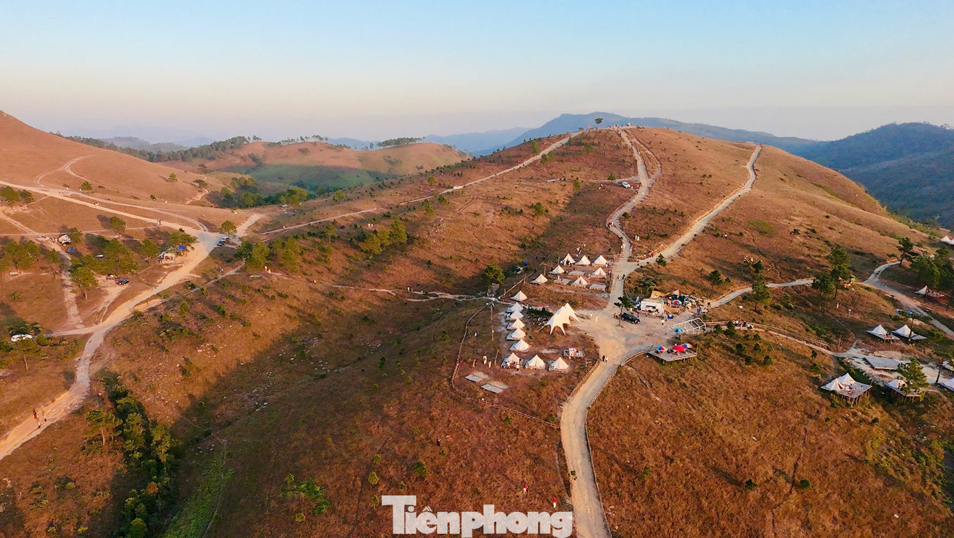 Du khách đổ xô đi cắm trại, check-in ở đồi cỏ phủ màu 'siêu thực'- Ảnh 2.