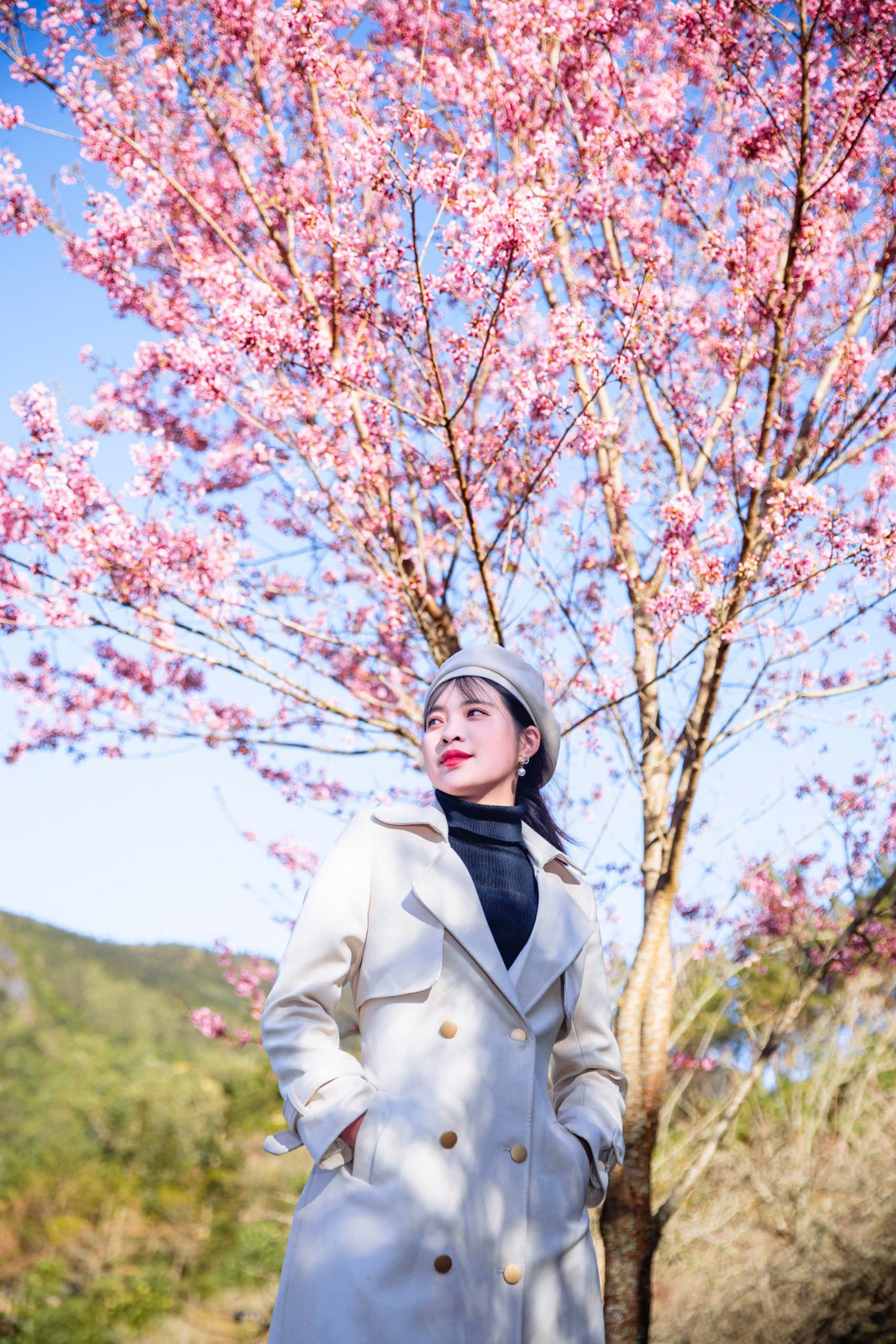 Đẹp mê mẩn rừng mai anh đào ở Sa Pa- Ảnh 8.