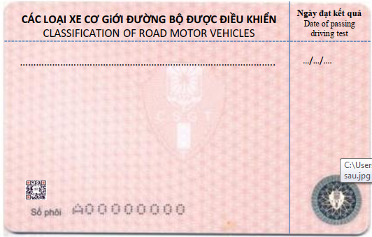 Cục CSGT đã cấp giấy phép lái xe mới màu hồng: Có bắt buộc đổi ngay trong năm nay?- Ảnh 2.