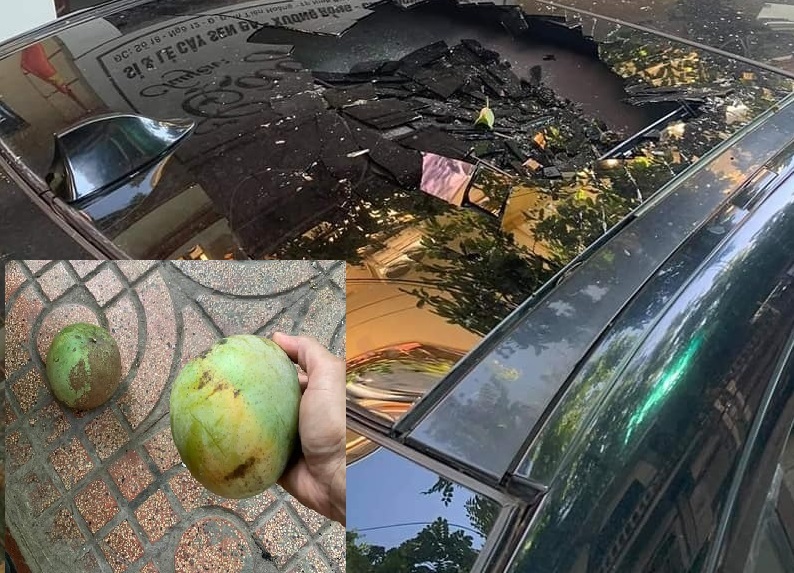 Quả xoài "tai tiếng" nhất Việt Nam: Khiến một nữ đại gia tốn cả trăm triệu vẫn chỉ biết "im lặng chịu trận"- Ảnh 5.