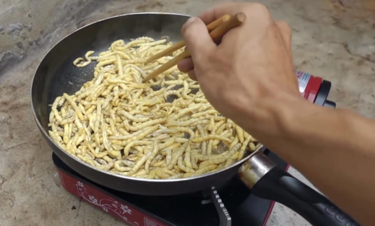 Sinh vật mềm oặt núp trong thân cây: Món đặc sản "đại bổ" lên tới hơn 3 triệu/kg- Ảnh 4. Sinh vật mềm oặt núp trong thân cây: Món đặc sản "đại bổ" lên tới hơn 3 triệu/kg- Ảnh 4.