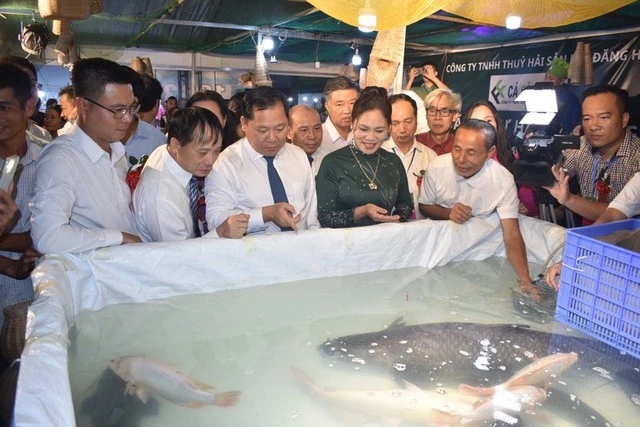 "Quái ngư” có kích thước hiếm gặp dưới lòng hồ nhân tạo lớn nhất Đông Nam Á- Ảnh 1. "Quái ngư” có kích thước hiếm gặp dưới lòng hồ nhân tạo lớn nhất Đông Nam Á- Ảnh 1.