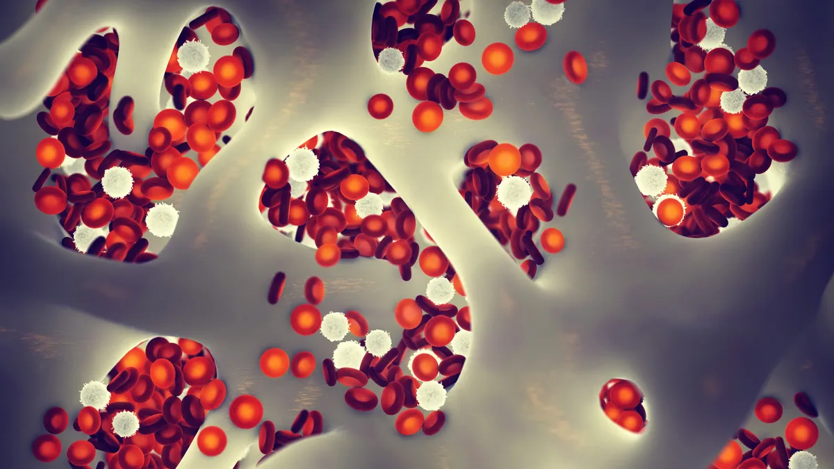 Người đàn ông được chữa khỏi HIV sau khi ghép tế bào gốc- Ảnh 3.