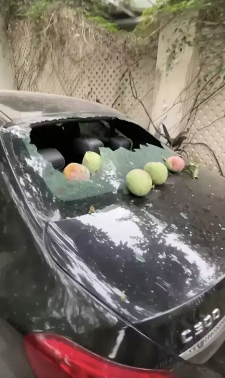 Quả xoài "tai tiếng" nhất Việt Nam: Khiến một nữ đại gia tốn cả trăm triệu vẫn chỉ biết "im lặng chịu trận"- Ảnh 4.