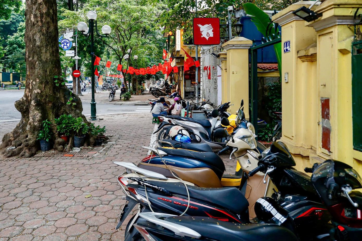 Cảnh lạ trên con đường lãng mạn đông ‘nàng thơ’ nhất Hà Nội- Ảnh 16.