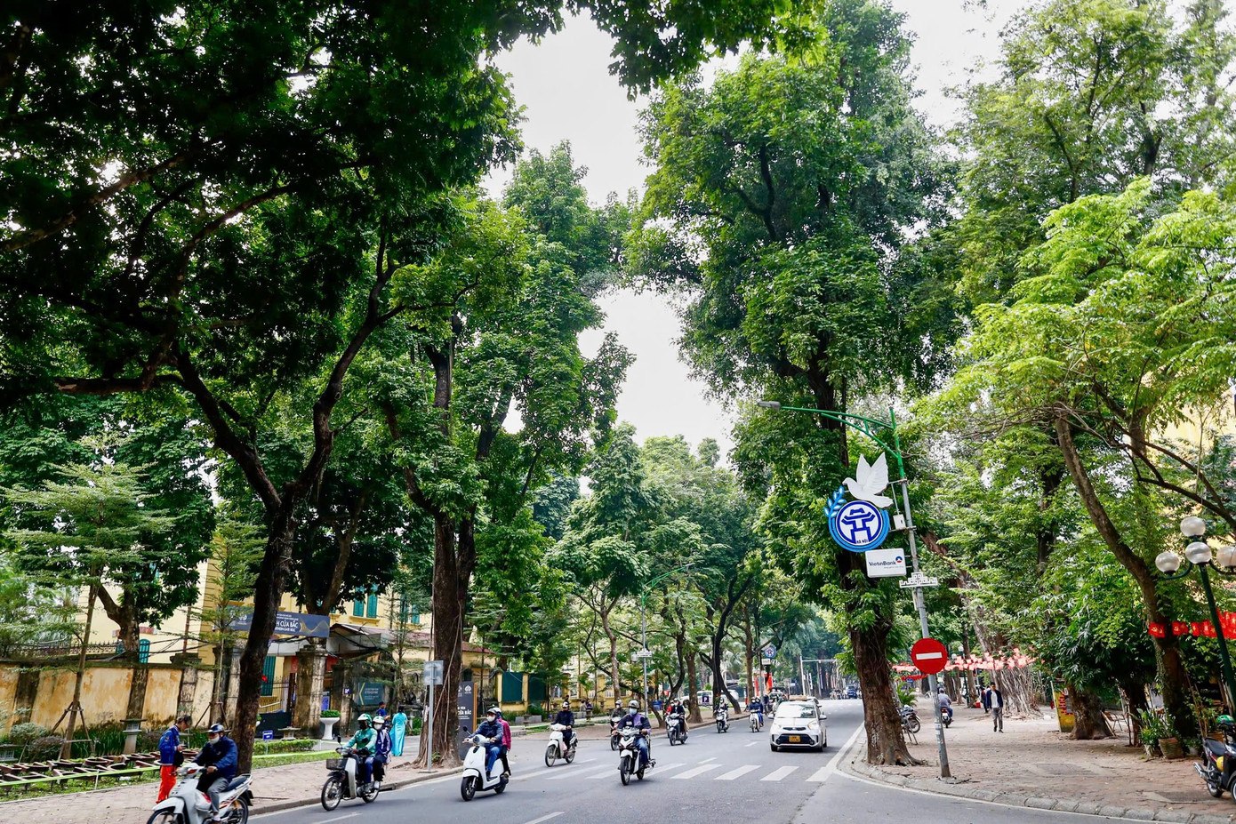 Cảnh lạ trên con đường lãng mạn đông ‘nàng thơ’ nhất Hà Nội- Ảnh 18.