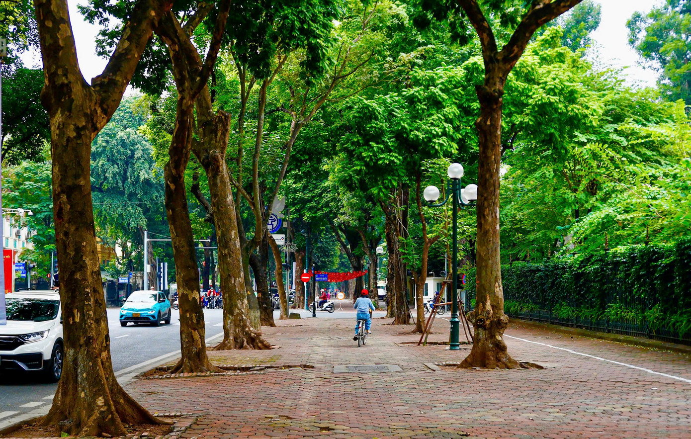 Cảnh lạ trên con đường lãng mạn đông ‘nàng thơ’ nhất Hà Nội- Ảnh 12.