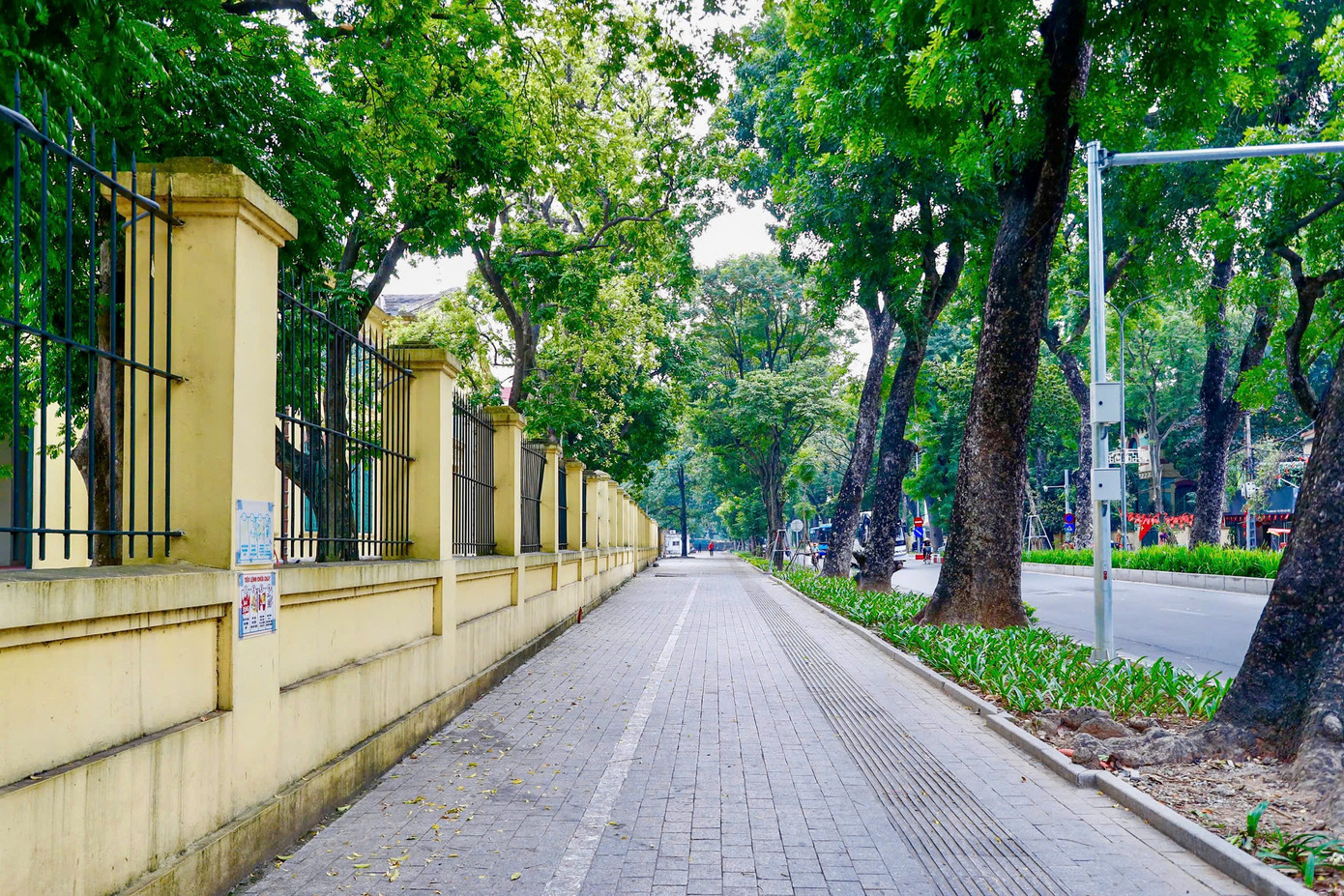 Cảnh lạ trên con đường lãng mạn đông ‘nàng thơ’ nhất Hà Nội- Ảnh 7.