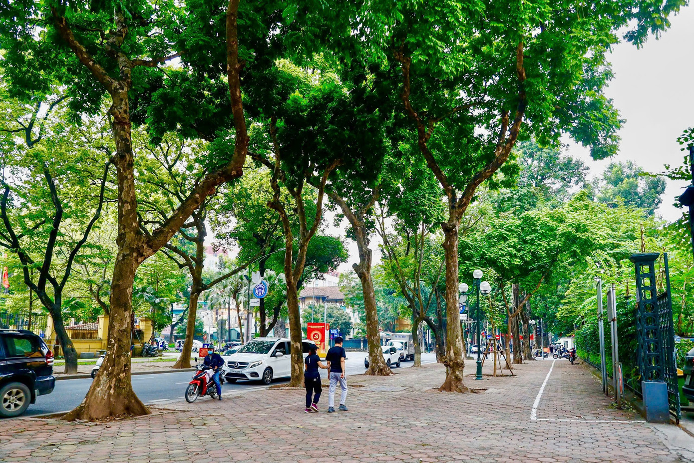 Cảnh lạ trên con đường lãng mạn đông ‘nàng thơ’ nhất Hà Nội- Ảnh 10.