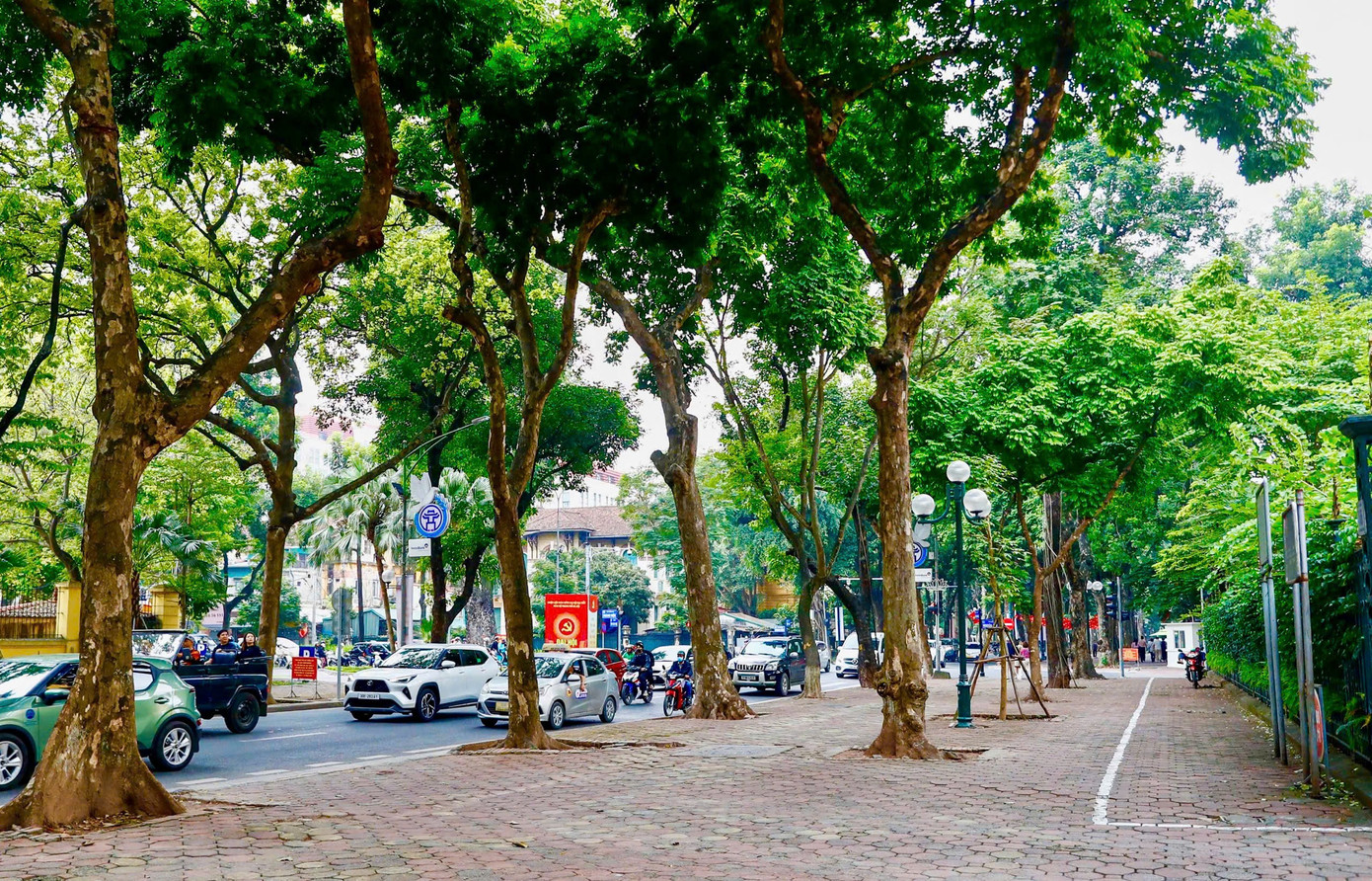 Cảnh lạ trên con đường lãng mạn đông ‘nàng thơ’ nhất Hà Nội- Ảnh 6.