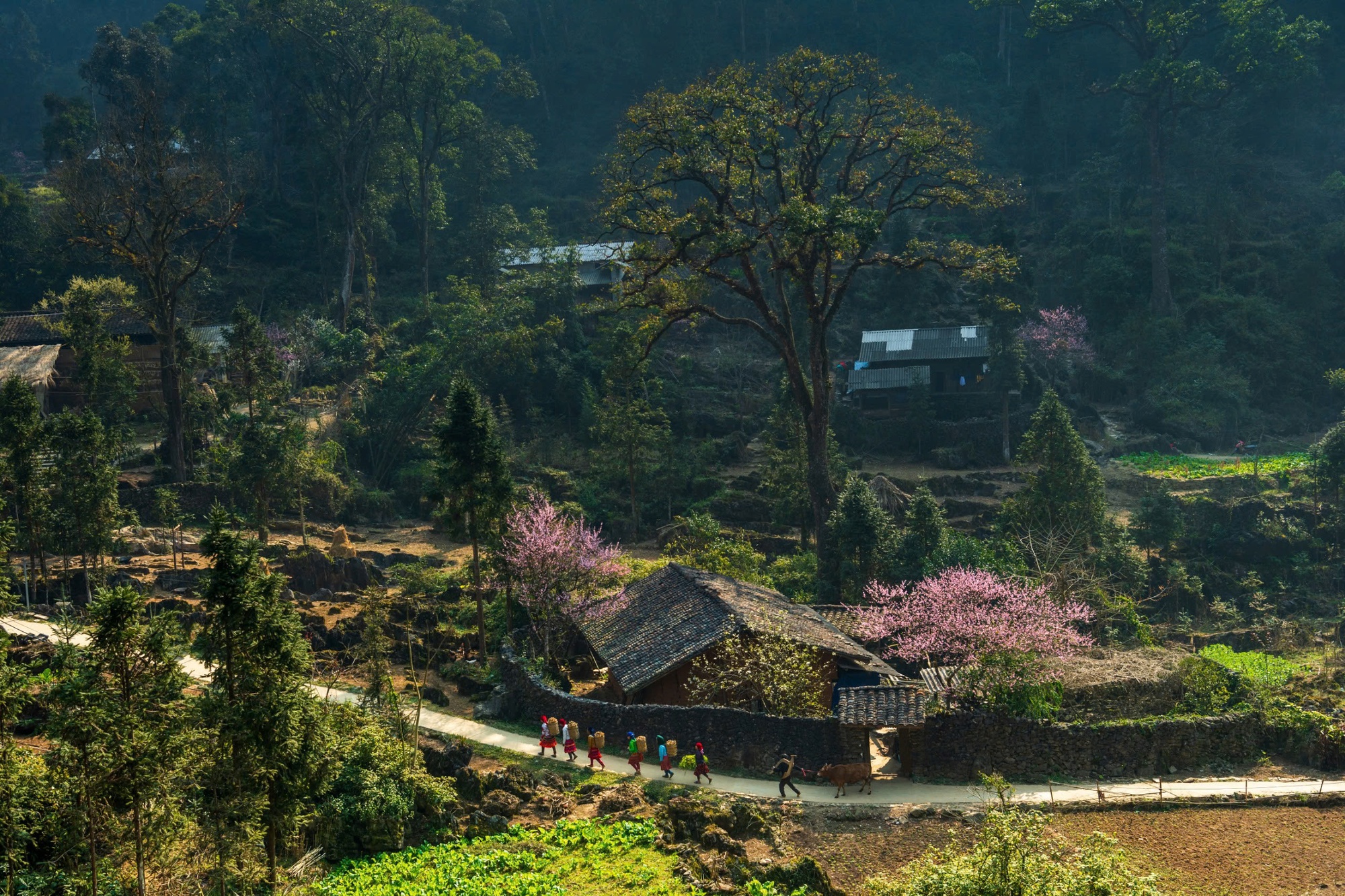 Tuyên Quang được vinh danh "Điểm đến văn hóa khu vực hàng đầu thế giới 2025" tại World Travel Awards- Ảnh 3. Tuyên Quang được vinh danh "Điểm đến văn hóa khu vực hàng đầu thế giới 2025" tại World Travel Awards- Ảnh 3.