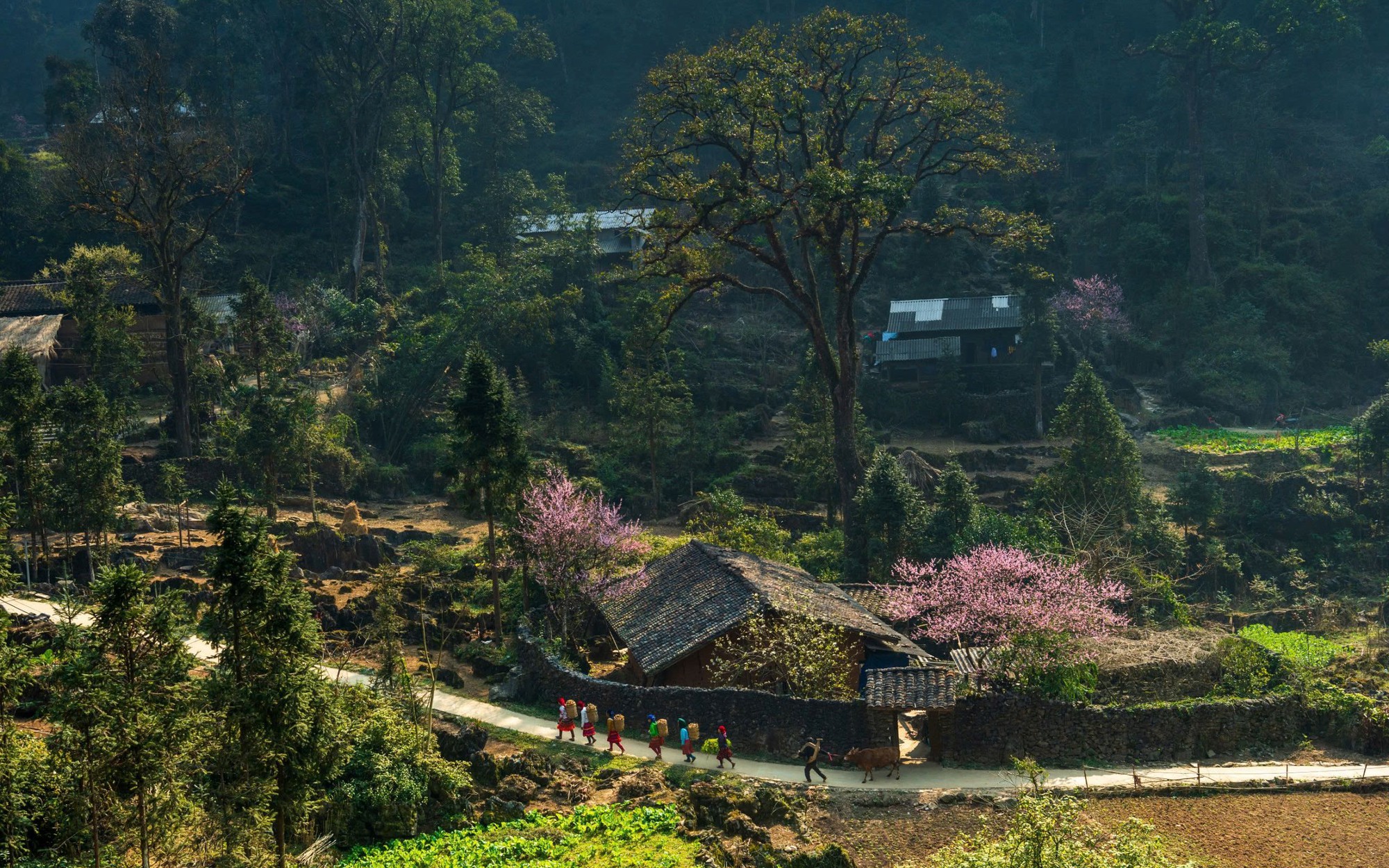Tuy&ecirc;n Quang được vinh danh "Điểm đến văn h&oacute;a khu vực h&agrave;ng đầu thế giới 2025" tại World Travel Awards- Ảnh 1.