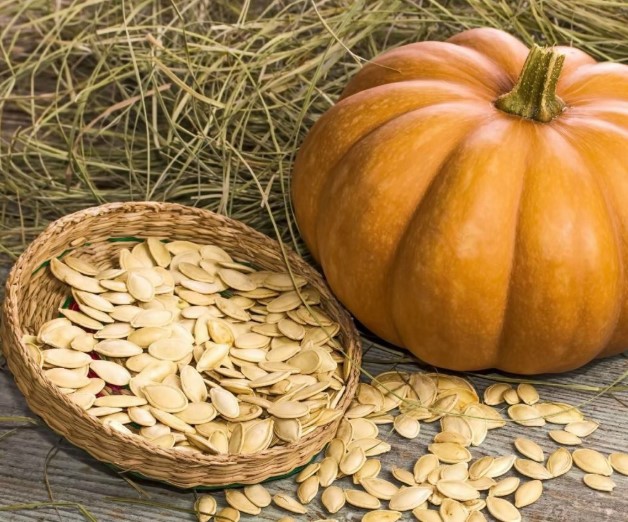 Gần đến Tết, chị em càng nên ăn 1 nắm “trân châu giòn” này mỗi ngày để điều hòa kinh nguyệt, cải thiện nội tiết- Ảnh 2.