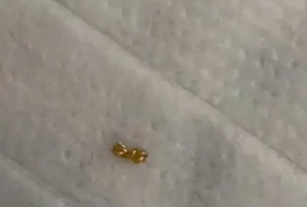 Bé trai 8 tuổi cắt vụn dây chuyền vàng của mẹ đem tặng bạn cùng lớp, bố mẹ sốc khi xem lại camera- Ảnh 2. Bé trai 8 tuổi cắt vụn dây chuyền vàng của mẹ đem tặng bạn cùng lớp, bố mẹ sốc khi xem lại camera- Ảnh 2.