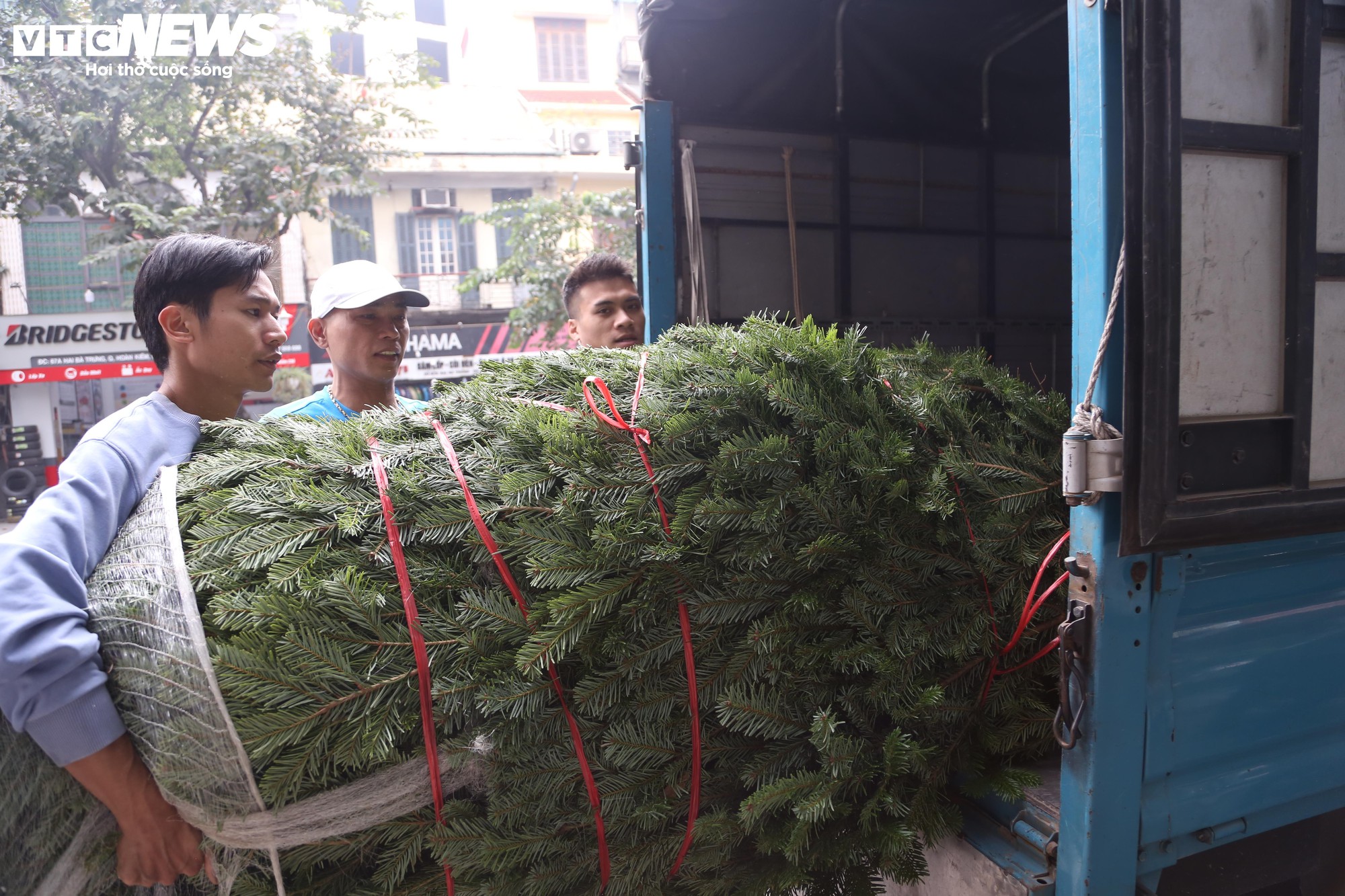 Đại gia Hà Nội chi hơn 100 triệu đồng mua thông tươi nhập khẩu đón Giáng sinh- Ảnh 10.