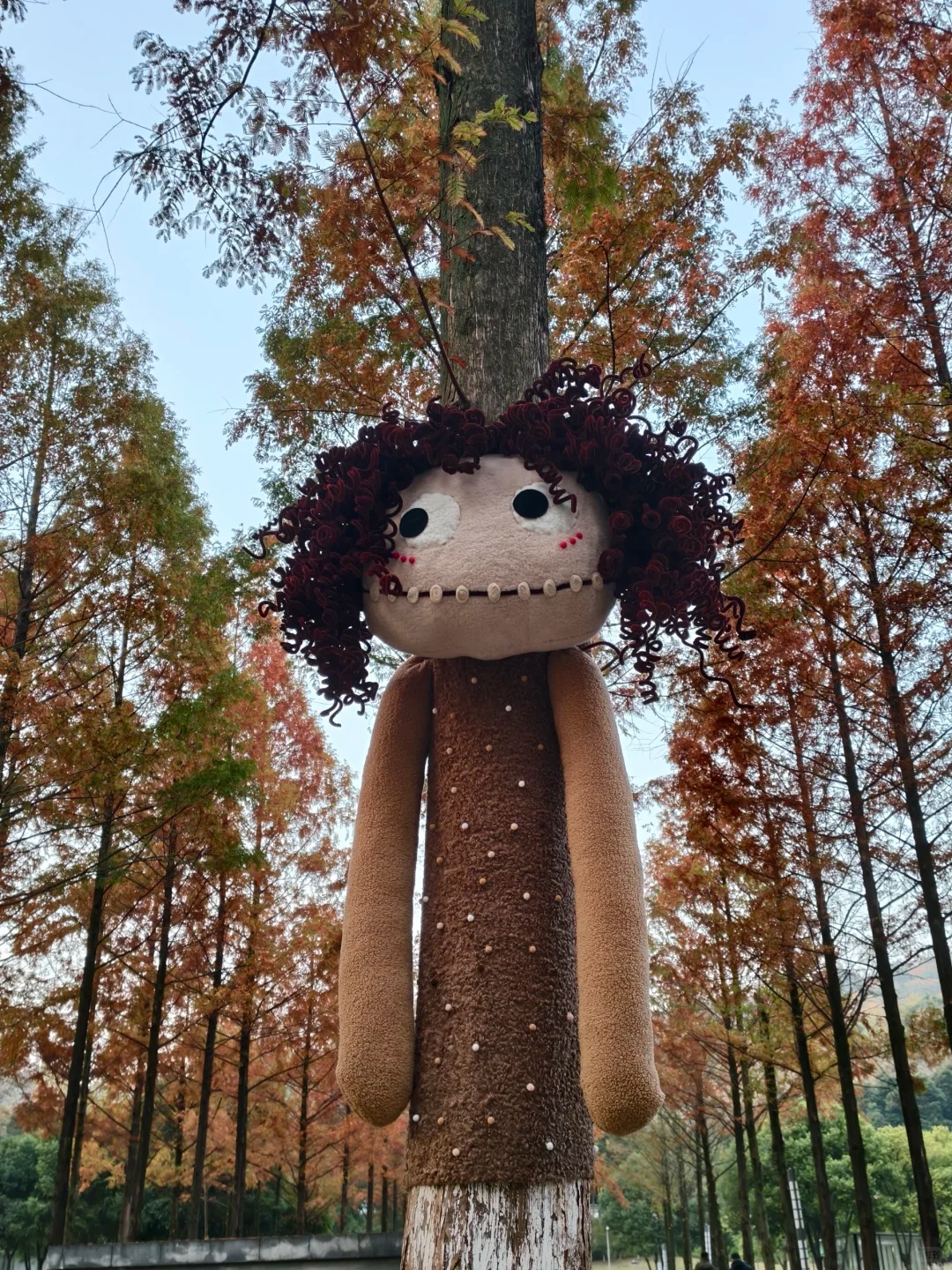 Cây cối trên đường phố đồng loạt mặc áo: Trào lưu "ôm cây" đang khiến dân tình phát sốt vì quá chữa lành!- Ảnh 7.