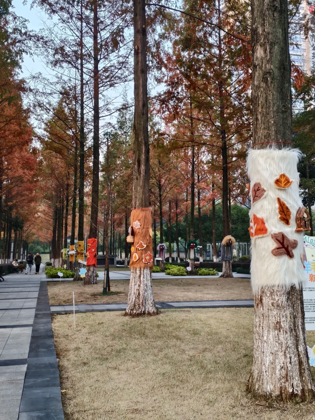 Cây cối trên đường phố đồng loạt mặc áo: Trào lưu "ôm cây" đang khiến dân tình phát sốt vì quá chữa lành!- Ảnh 6.