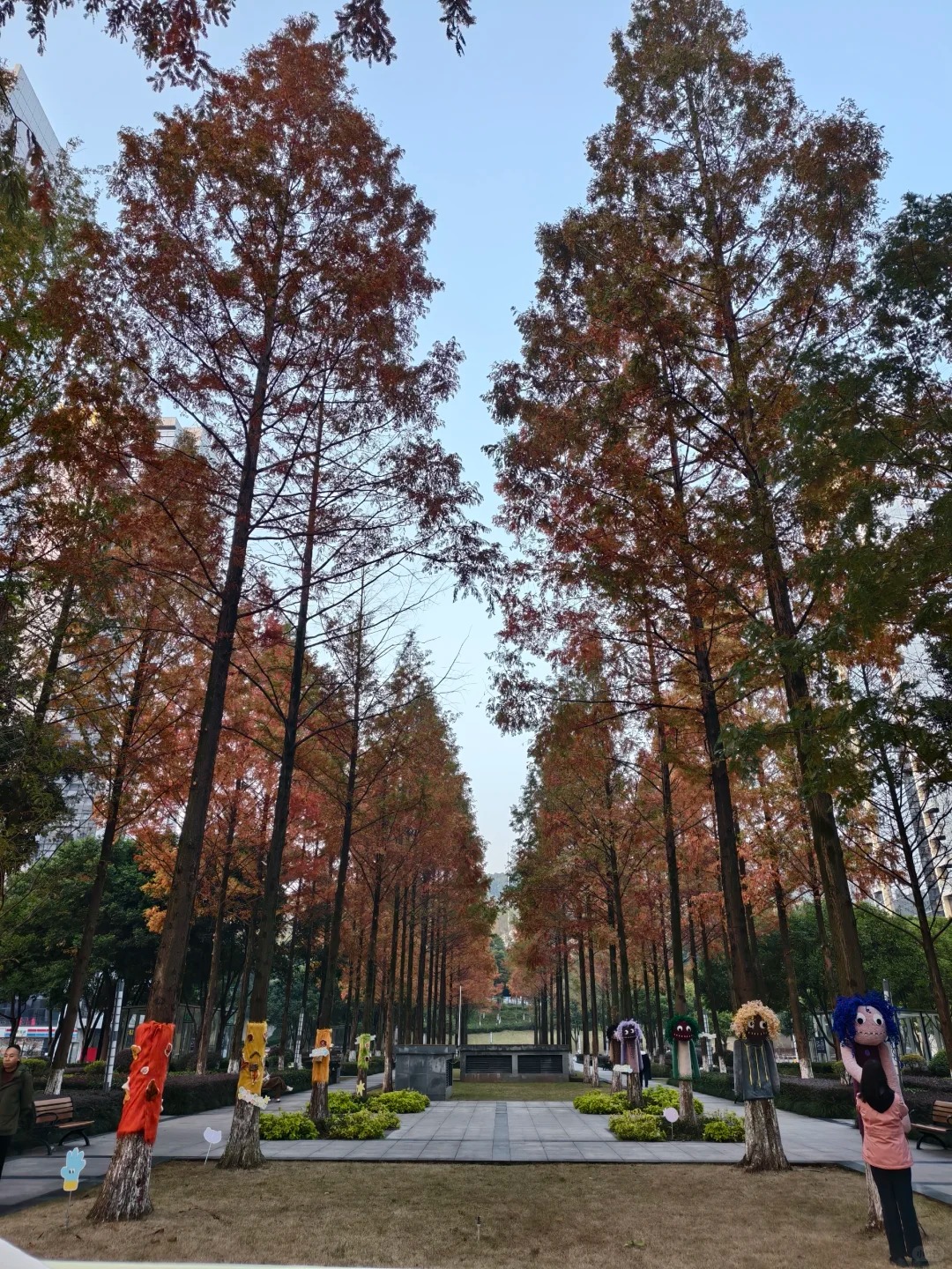 Cây cối trên đường phố đồng loạt mặc áo: Trào lưu "ôm cây" đang khiến dân tình phát sốt vì quá chữa lành!- Ảnh 5.