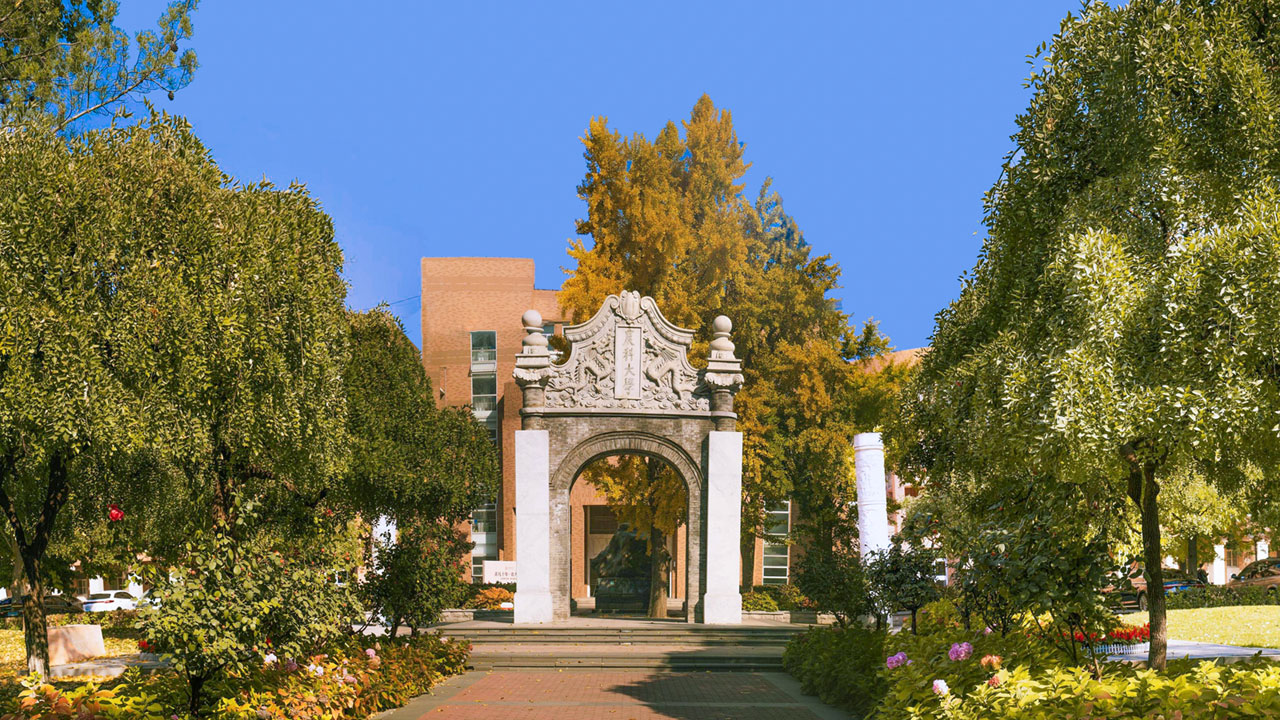 Đây là canteen ngon nhất Trung Quốc!- Ảnh 1.