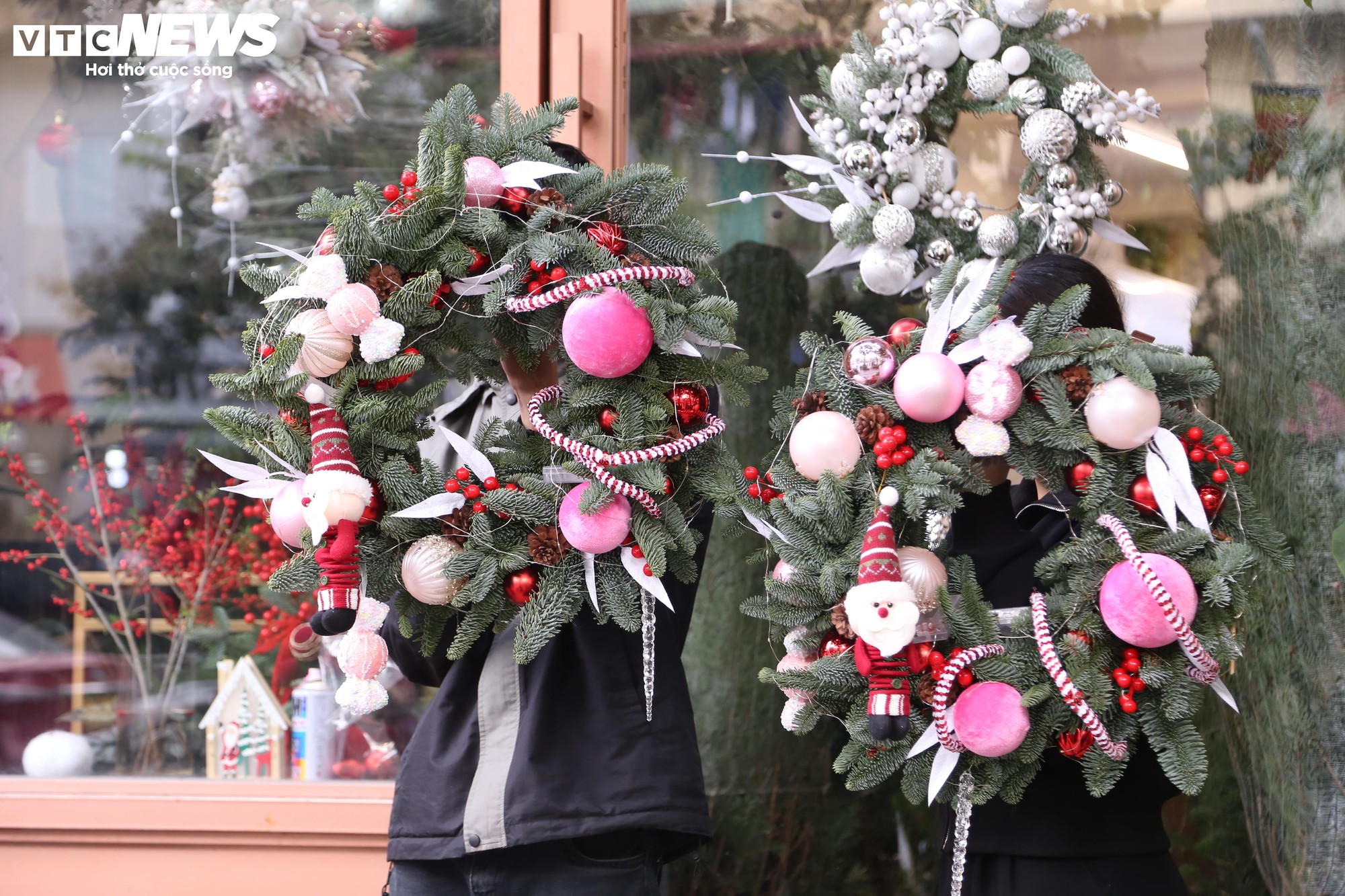 Đại gia Hà Nội chi hơn 100 triệu đồng mua thông tươi nhập khẩu đón Giáng sinh- Ảnh 9.