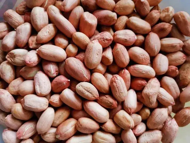 2 vợ chồng cùng lúc phát hiện ung thư gan, mở tủ lạnh ra bác sĩ hốt hoảng nói: "Vứt ngay!"- Ảnh 3.