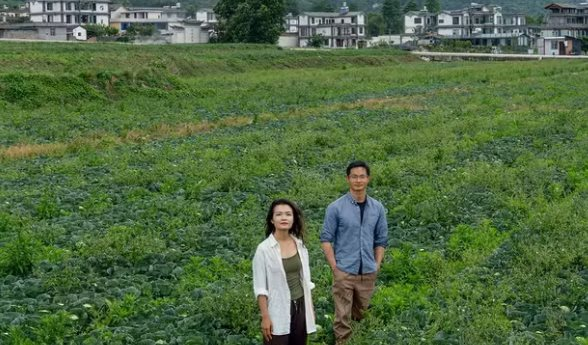 U30 bỏ phố chuyển về vùng núi "dưỡng già", chưa đầy 1 năm đã thảng thốt: “Đó không phải cuộc sống tôi muốn”- Ảnh 1.