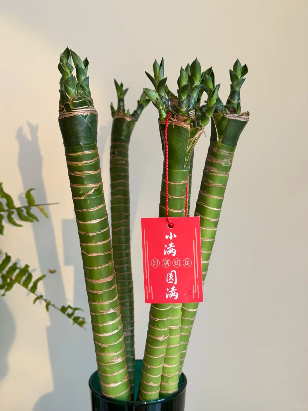 Chưng Tết đừng chỉ mua hoa: Có một loại cây "rẻ bèo" nhưng hút tài lộc cực mạnh, đặt đúng 4 cành lên bàn học con cái thi cử đỗ đạt, gia chủ tiền vào như nước- Ảnh 35.