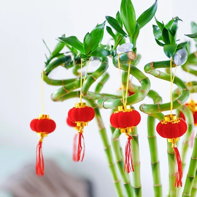 Chưng Tết đừng chỉ mua hoa: Có một loại cây "rẻ bèo" nhưng hút tài lộc cực mạnh, đặt đúng 4 cành lên bàn học con cái thi cử đỗ đạt, gia chủ tiền vào như nước- Ảnh 43.