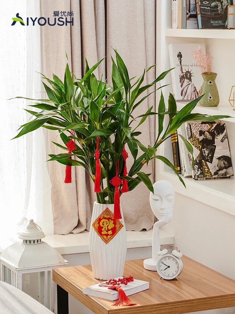 Chưng Tết đừng chỉ mua hoa: Có một loại cây "rẻ bèo" nhưng hút tài lộc cực mạnh, đặt đúng 4 cành lên bàn học con cái thi cử đỗ đạt, gia chủ tiền vào như nước- Ảnh 42.